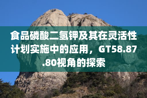 食品磷酸二氢钾及其在灵活性计划实施中的应用，GT58.87.80视角的探索