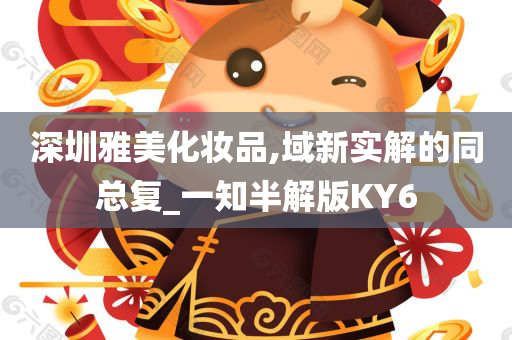 深圳雅美化妆品,域新实解的同总复_一知半解版KY6