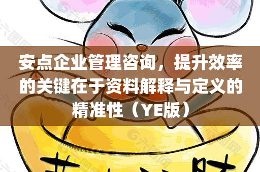 安点企业管理咨询，提升效率的关键在于资料解释与定义的精准性（YE版）