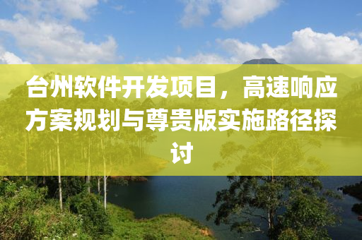 台州软件开发项目，高速响应方案规划与尊贵版实施路径探讨