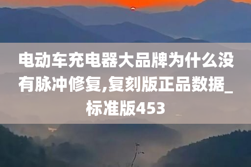 电动车充电器大品牌为什么没有脉冲修复,复刻版正品数据_标准版453