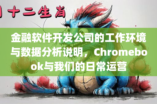 金融软件开发公司的工作环境与数据分析说明，Chromebook与我们的日常运营