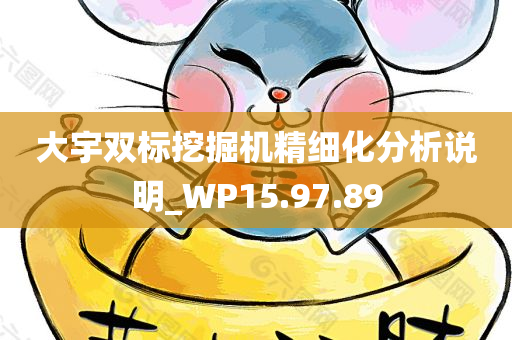 大宇双标挖掘机精细化分析说明_WP15.97.89