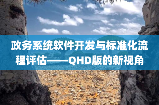 政务系统软件开发与标准化流程评估——QHD版的新视角