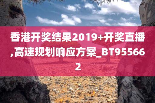 香港开奖结果2019+开奖直播,高速规划响应方案_BT955662