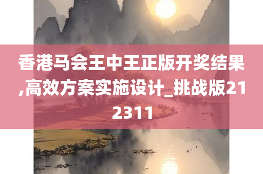 香港马会王中王正版开奖结果,高效方案实施设计_挑战版212311