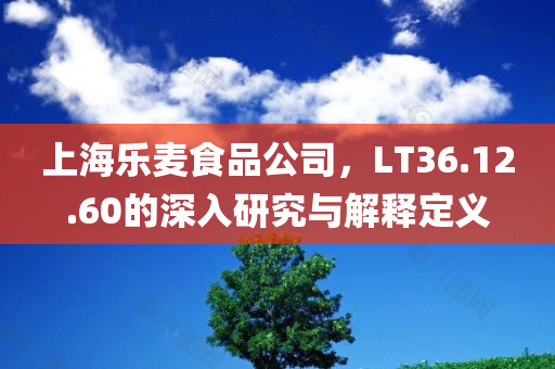 上海乐麦食品公司，LT36.12.60的深入研究与解释定义