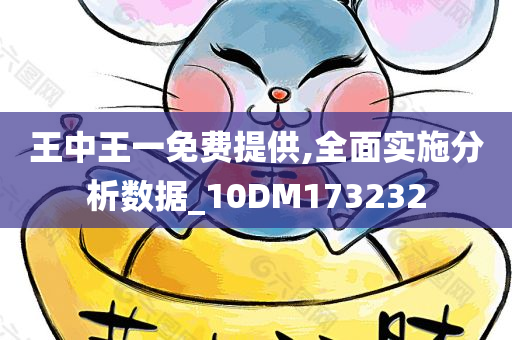 王中王一免费提供,全面实施分析数据_10DM173232