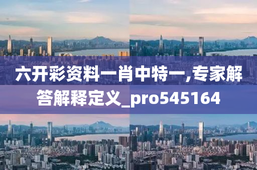 六开彩资料一肖中特一,专家解答解释定义_pro545164