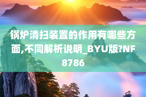 锅炉清扫装置的作用有哪些方面,不同解析说明_BYU版?NF8786