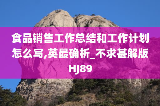 食品销售工作总结和工作计划怎么写,英最确析_不求甚解版HJ89