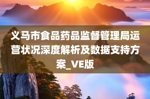 义马市食品药品监督管理局运营状况深度解析及数据支持方案_VE版