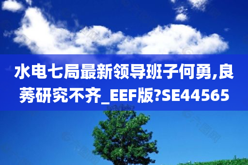 水电七局最新领导班子何勇,良莠研究不齐_EEF版?SE44565