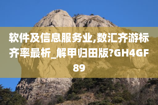 软件及信息服务业,数汇齐游标齐率最析_解甲归田版?GH4GF89