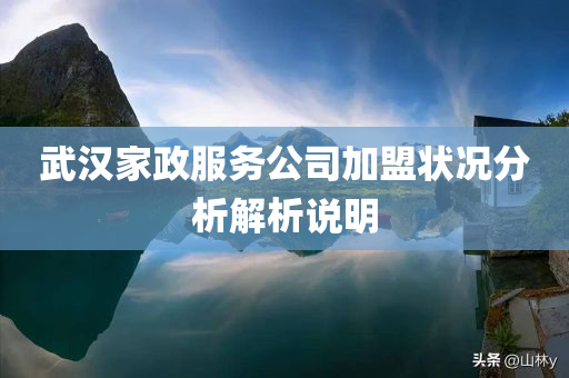 武汉家政服务公司加盟状况分析解析说明