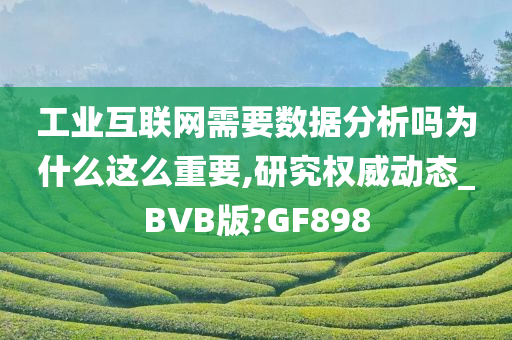 工业互联网需要数据分析吗为什么这么重要,研究权威动态_BVB版?GF898