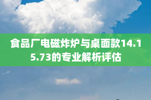 食品厂电磁炸炉与桌面款14.15.73的专业解析评估