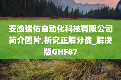 安徽瑞佑自动化科技有限公司简介图片,析究正解分战_解决版GHF87