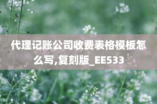 代理记账公司收费表格模板怎么写,复刻版_EE533