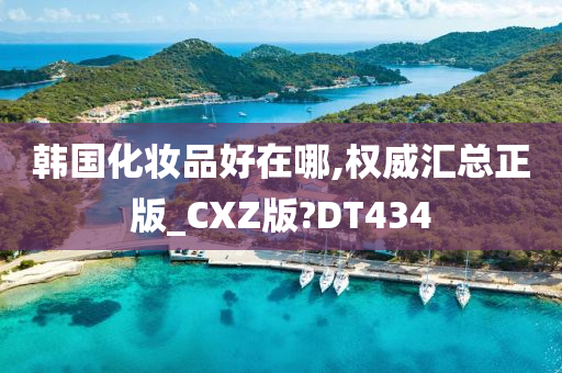 韩国化妆品好在哪,权威汇总正版_CXZ版?DT434