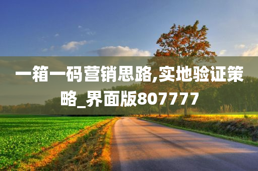 一箱一码营销思路,实地验证策略_界面版807777