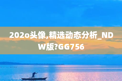 202o头像,精选动态分析_NDW版?GG756