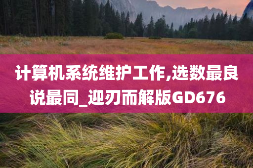 计算机系统维护工作,选数最良说最同_迎刃而解版GD676