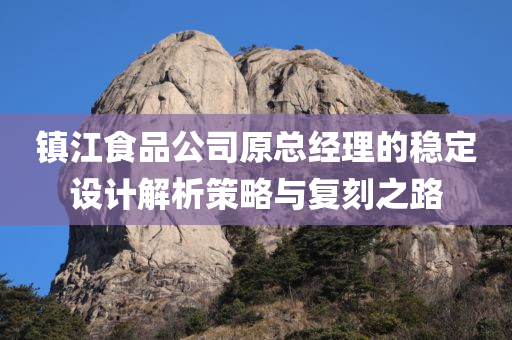 镇江食品公司原总经理的稳定设计解析策略与复刻之路