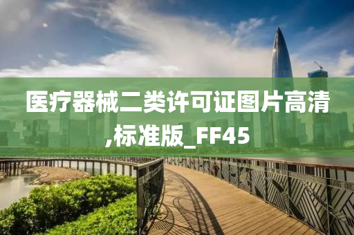 医疗器械二类许可证图片高清,标准版_FF45