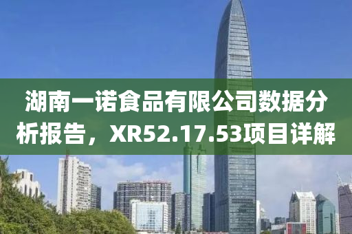 湖南一诺食品有限公司数据分析报告，XR52.17.53项目详解