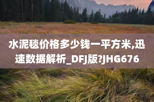 水泥毯价格多少钱一平方米,迅速数据解析_DFJ版?JHG676