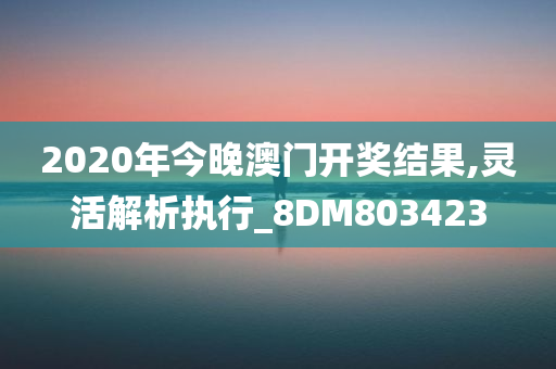 2020年今晚澳门开奖结果,灵活解析执行_8DM803423