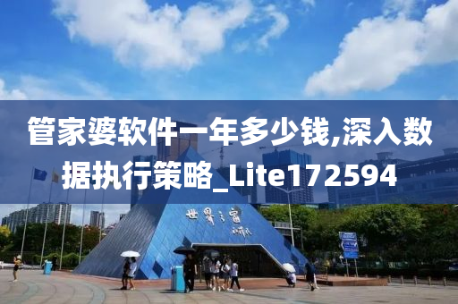 管家婆软件一年多少钱,深入数据执行策略_Lite172594