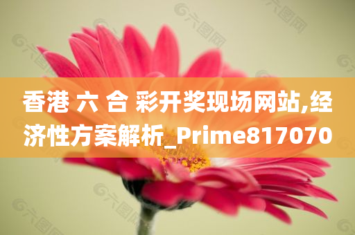 香港 六 合 彩开奖现场网站,经济性方案解析_Prime817070