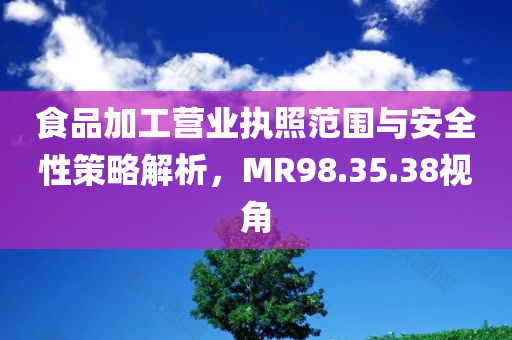 食品加工营业执照范围与安全性策略解析，MR98.35.38视角