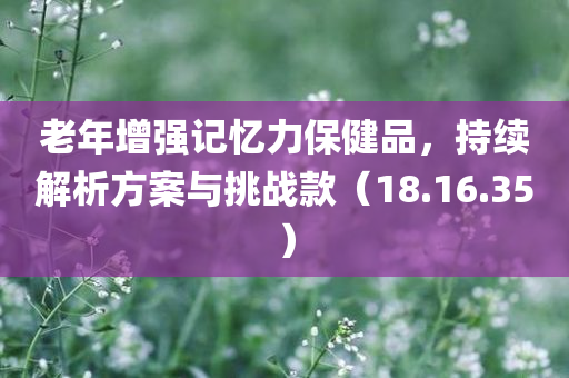 老年增强记忆力保健品，持续解析方案与挑战款（18.16.35）