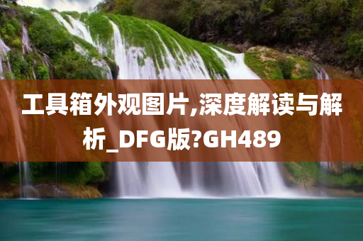 工具箱外观图片,深度解读与解析_DFG版?GH489