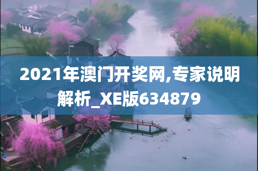 2021年澳门开奖网,专家说明解析_XE版634879