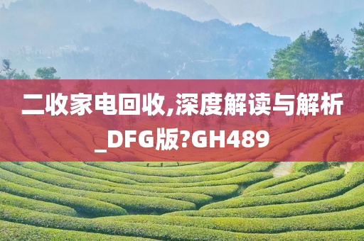 二收家电回收,深度解读与解析_DFG版?GH489