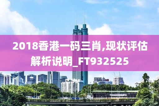 2018香港一码三肖,现状评估解析说明_FT932525