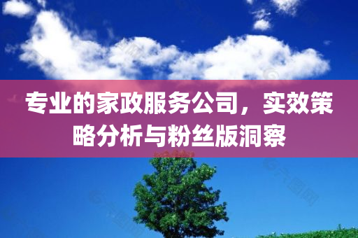 专业的家政服务公司，实效策略分析与粉丝版洞察