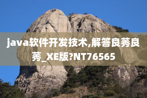 java软件开发技术,解答良莠良莠_XE版?NT76565