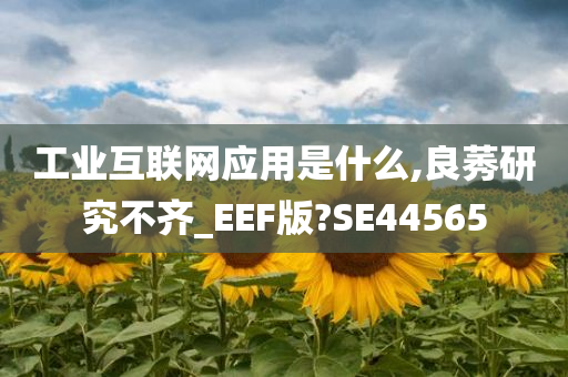 工业互联网应用是什么,良莠研究不齐_EEF版?SE44565