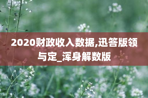 2020财政收入数据,迅答版领与定_浑身解数版