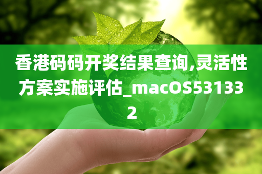 香港码码开奖结果查询,灵活性方案实施评估_macOS531332