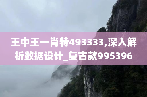 王中王一肖特493333,深入解析数据设计_复古款995396