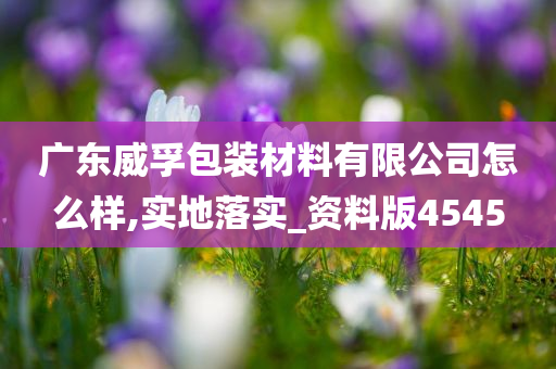 广东威孚包装材料有限公司怎么样,实地落实_资料版4545