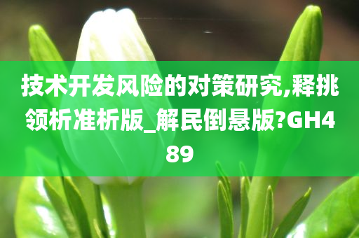 技术开发风险的对策研究,释挑领析准析版_解民倒悬版?GH489