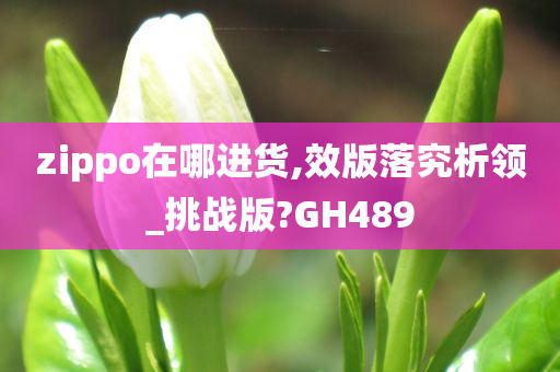 zippo在哪进货,效版落究析领_挑战版?GH489