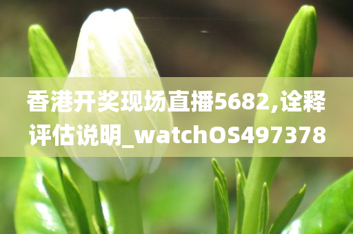 香港开奖现场直播5682,诠释评估说明_watchOS497378